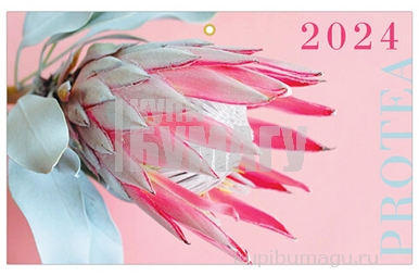 2024   2024, 3  3  , . , BRAUBERG, Protea, 115290