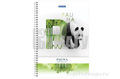  4 96. BRAUBERG , ,  , Fauna, 404058